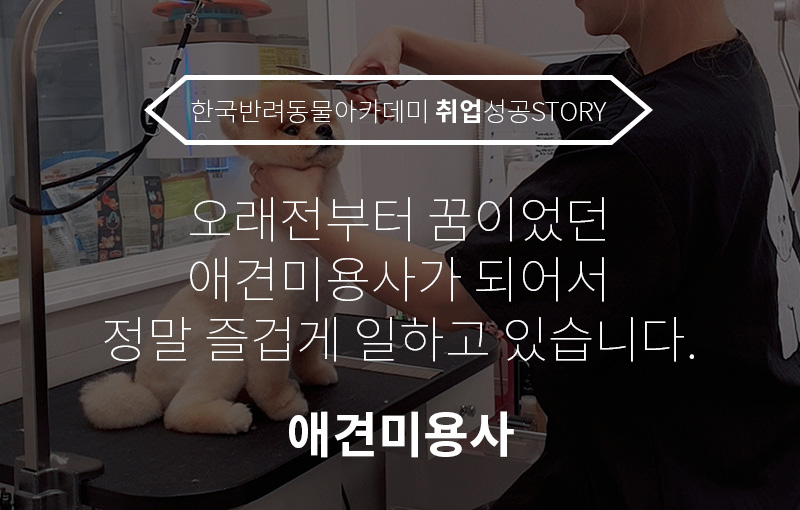 애견미용사 자격증 취득 수강생 후기